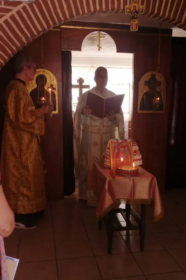 WhatsApp Image 2024-08-28 at 5.58.43 PM (1)